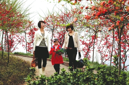 2012年成都国际桃花节将于3月25日开幕